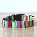 2014 Novelty Colorful Canvas Dog Collar&Lead(100 Colors) 5