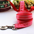 2014  New personalized fabric dog leash  3