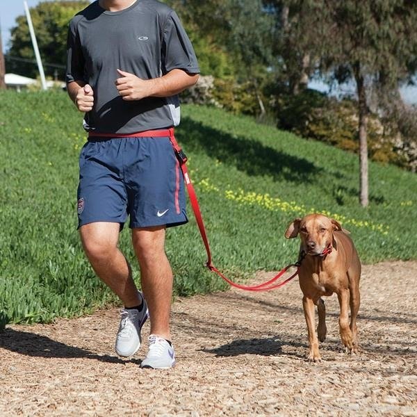 2014 Latest Hotest Runner's Dog Leash 5