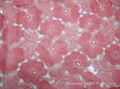 COTTON VOILE  EMB FABRIC  4