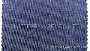 Tencel denim 3