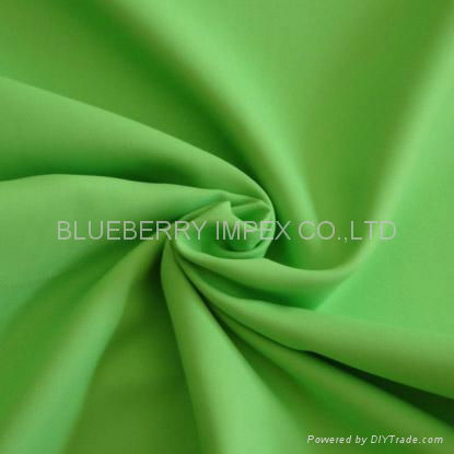 NYLON TAFFETA 2