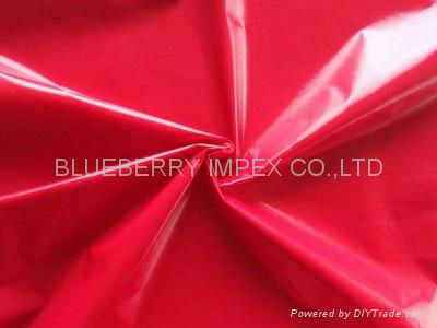 NYLON TAFFETA 3