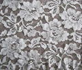 Cotton Lace fabric