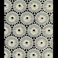 Cotton Lace fabric  4