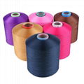 Dope Dyed Dty Polyester Yarn