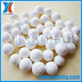 Activated Alumina Fluorine Remover 3