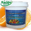 Seaweed Extract Powder Flake (Organic Fertilizer)  2