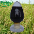 Seaweed Extract Powder Flake (Organic Fertilizer)  4