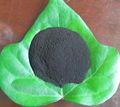 Seaweed Extract Powder Flake (Organic Fertilizer) 2