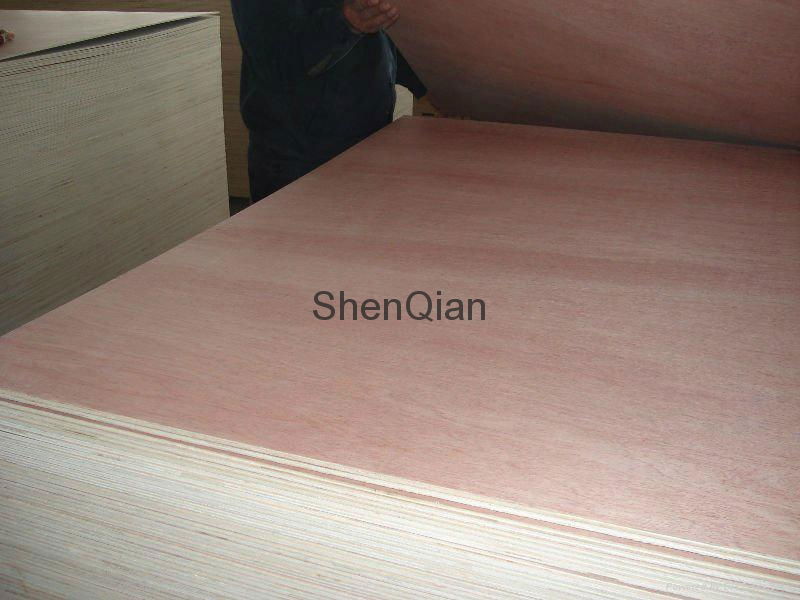 Red hardwood bintangor plywood poplar core