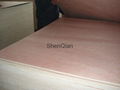 Red hardwood bintangor plywood poplar