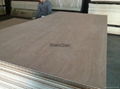 Best quality plywood sheet, cheap teak sapele fancy plywood