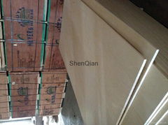 Cheap birch packing plywood for sale