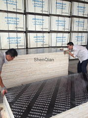 Factory-directly sales film faced plywood prices