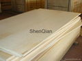 E1 glue CC/DD Birch plywood sheets 1