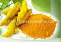 food ingredient curcumin 95% 