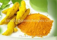 food ingredient curcumin 95% 