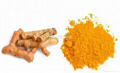 water soluble curcumin powder