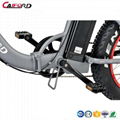 CF-TDN09Z snow electric fat bike folding electric bike (36V350W) 3