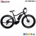 CF-TDE10Z-3 mountain electric fat bike (36V250W) 1