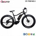 CF-TDE10Z-3 mountain electric fat bike (36V250W)