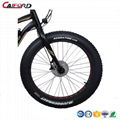 CF-TDE10Z-3 mountain electric fat bike (36V250W) 3