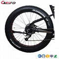 CF-TDE10Z-3 mountain electric fat bike (36V250W)