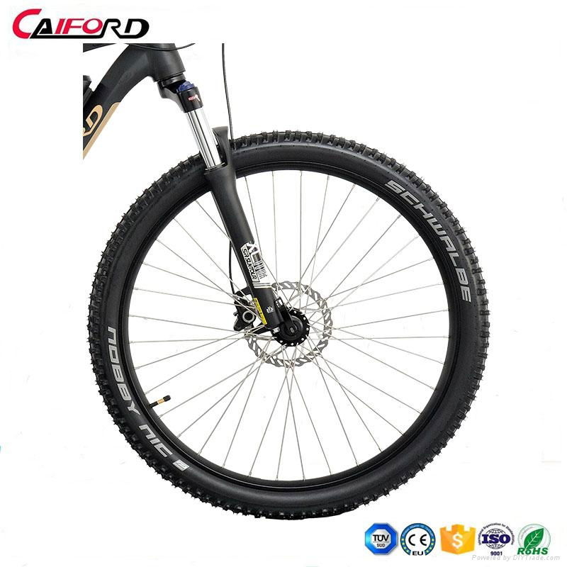 CF-TDB20Z  new electric bike with mid-crank motor  (36V250W) 3