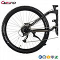 CF-TDB20Z  new electric bike with mid-crank motor  (36V250W)