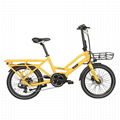 CF-TDN03Z  20”electric cargon bicycle 1