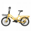 CF-TDN03Z  20”electric cargon bicycle 2