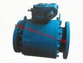 Forged Floating Ball Valve 1