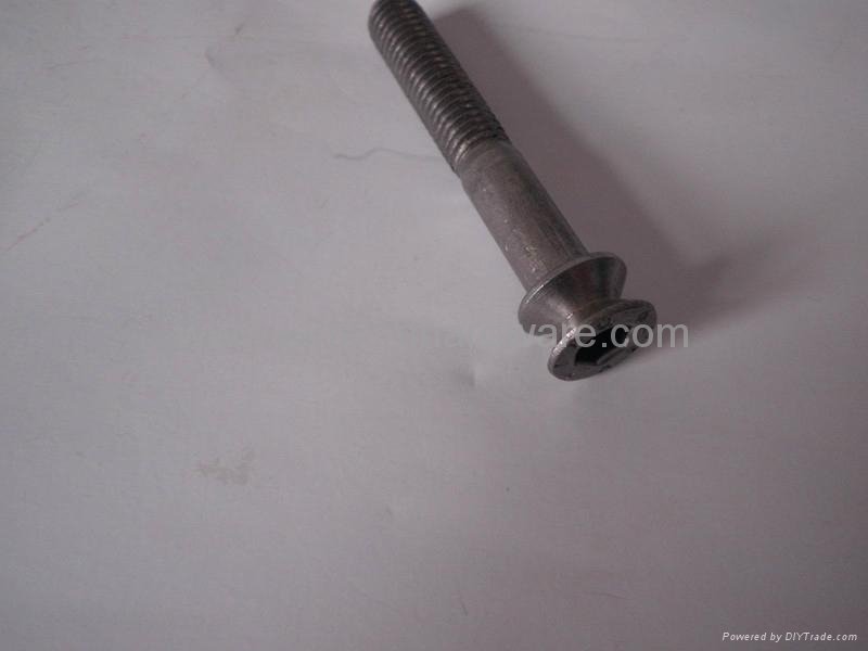 Stainless Steel slotted Non-standard Type Fasteners