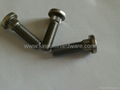 SUS 316 and A4-80 high strength knurled step special screw