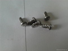 Pan head phillips screw with type U thread cold formed fasteners