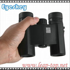 Black Compact 10x25 Waterproof Binoculars