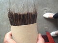 Horse hair mixed pp 3