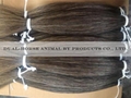 fiddle/violin bow hair 4