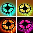 New Colorful Modern LED Strip Light cheapest IP65 LED Lighting