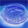 China Supplier Flashing Modern LED Strip Lights cheapest IP65 LED Lighting facto 2