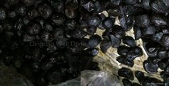 black garlic clove