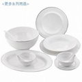 Dinnerware 4