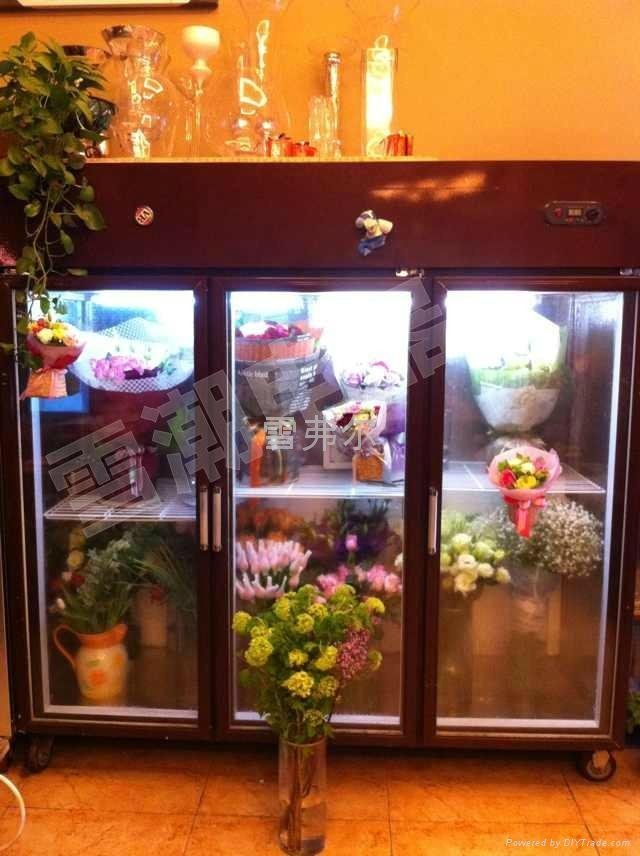 鲜花保鲜柜