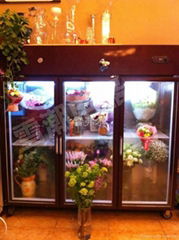 鮮花保鮮櫃