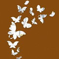 ACRYLIC BUTTERFLIES STICKER 5