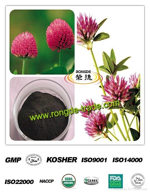 Red Clover Extract or Trifolium pratense L