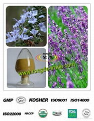 Rosemary Extract Carnosic acid powder