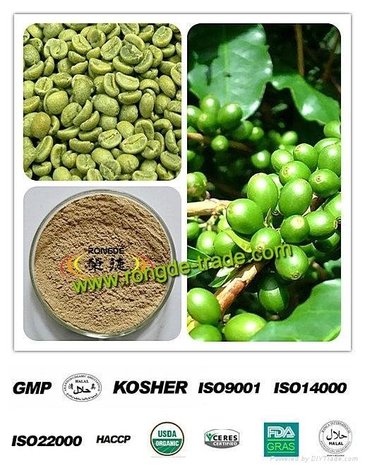 pure dr oz benefits green coffee bean extract from dried beans 2