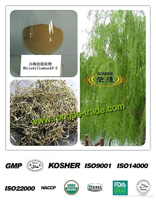 salix alba extract good for blood thinner and headaches